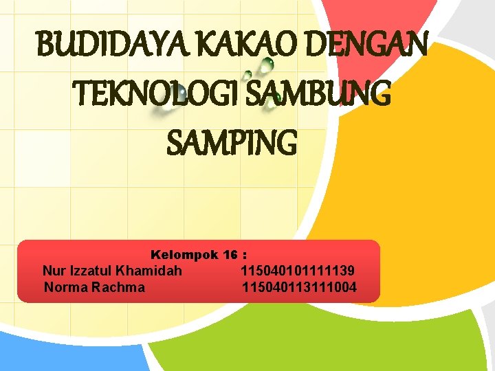 BUDIDAYA KAKAO DENGAN TEKNOLOGI SAMBUNG SAMPING Kelompok 16 : L/O/G/O Nur Izzatul Khamidah www.