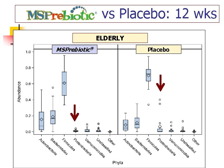 vs Placebo: 12 wks ELDERLY MSPrebiotic® Placebo 