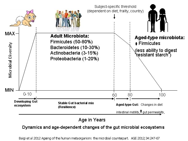 Subject-specific threshold (dependent on diet, frailty, country) MAX Microbial Diversity Adult Microbiota: Firmicutes (50