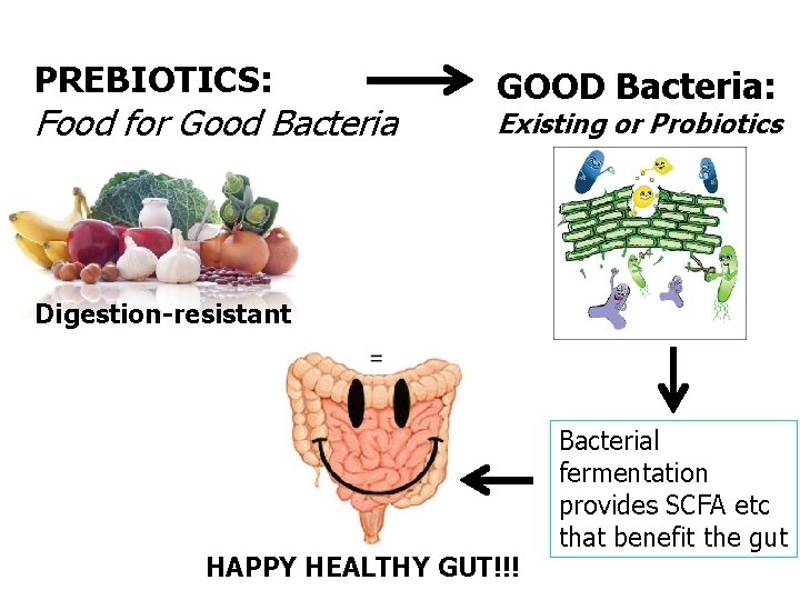 PREBIOTICS: Food for Good Bacteria GOOD Bacteria: Existing or Probiotics Digestion-resistant HAPPY HEALTHY GUT!!!