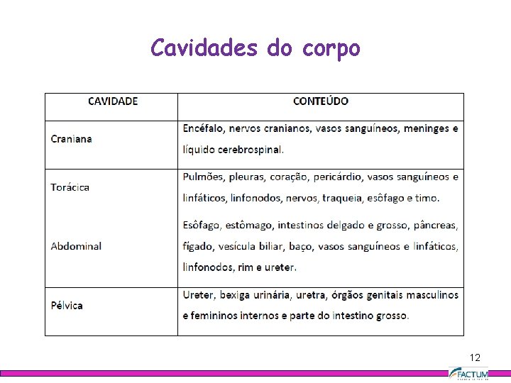 Cavidades do corpo 12 