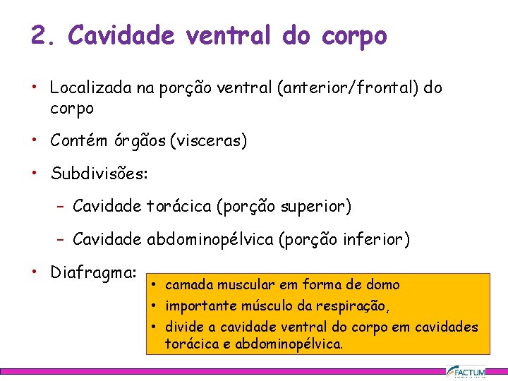 2. Cavidade ventral do corpo • Localizada na porção ventral (anterior/frontal) do corpo •