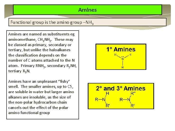 Amines Functional group is the amino group –NH 3 Amines are named as substituents Amines Functional group is the amino group –NH 3 Amines are named as substituents