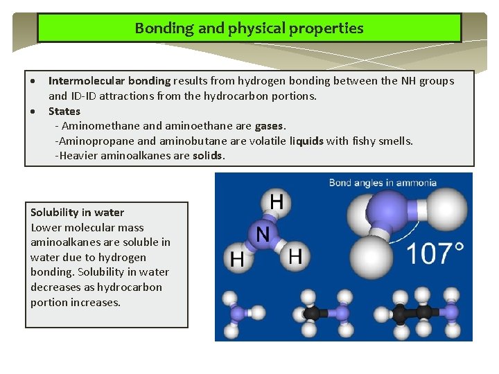 Bonding and physical properties Intermolecular bonding results from hydrogen bonding between the NH groups Bonding and physical properties Intermolecular bonding results from hydrogen bonding between the NH groups