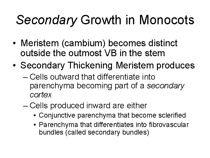 Secondary Growth in Monocots • Meristem (cambium) becomes distinct outside the outmost VB in