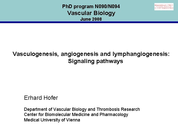 Ph. D program N 090/N 094 Vascular Biology June 2008 Vasculogenesis, angiogenesis and lymphangiogenesis: