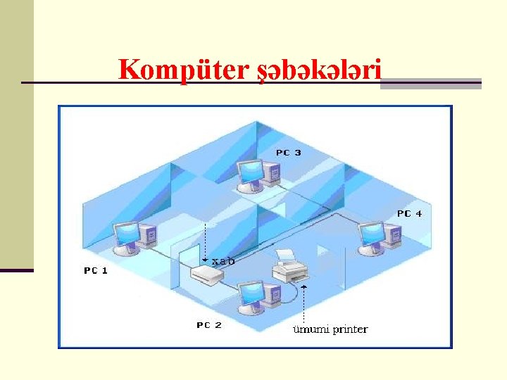 Kompüter şəbəkələri 