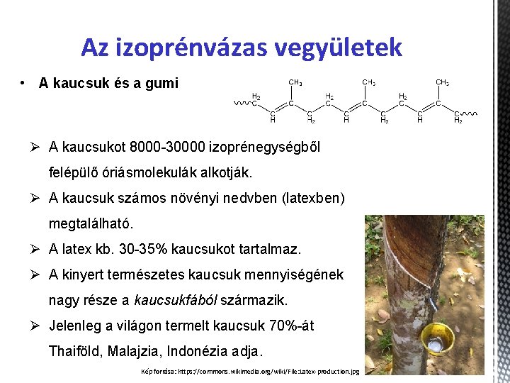 Az izoprénvázas vegyületek • A kaucsuk és a gumi Ø A kaucsukot 8000 -30000