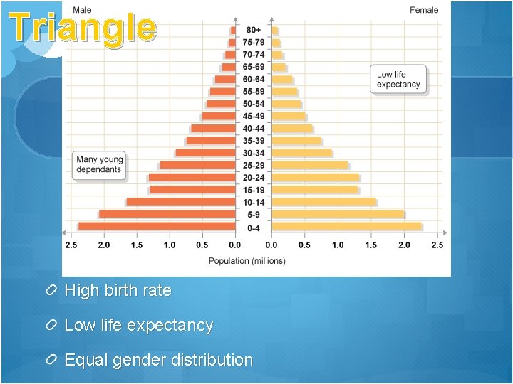 Triangle High birth rate Low life expectancy Equal gender distribution 