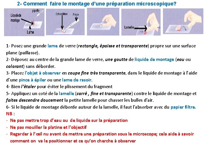 2 - Comment faire le montage d’une préparation microscopique? 1 - Posez une grande