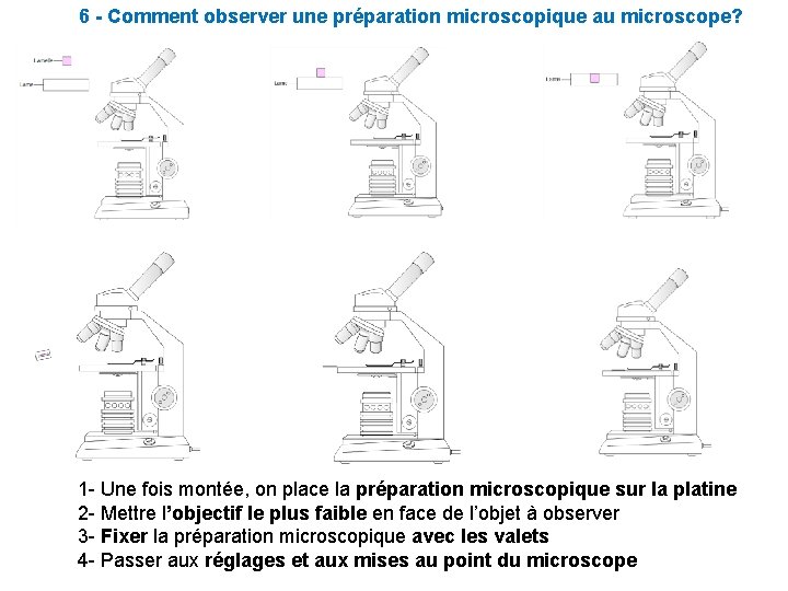 6 - Comment observer une préparation microscopique au microscope? 1 - Une fois montée,