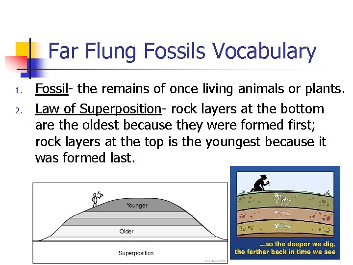 Far Flung Fossils Vocabulary 1. 2. Fossil- the remains of once living animals or