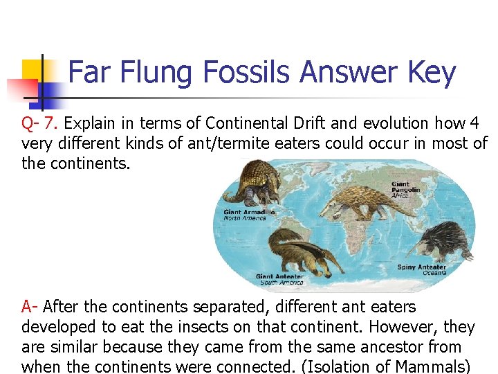 Far Flung Fossils Answer Key Q- 7. Explain in terms of Continental Drift and