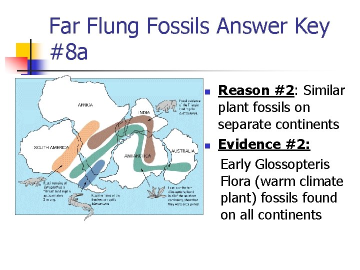 Far Flung Fossils Answer Key #8 a n n Reason #2: Similar plant fossils