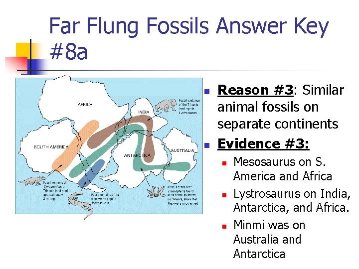 Far Flung Fossils Answer Key #8 a n n Reason #3: Similar animal fossils