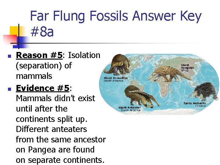 Far Flung Fossils Answer Key #8 a n n Reason #5: Isolation (separation) of