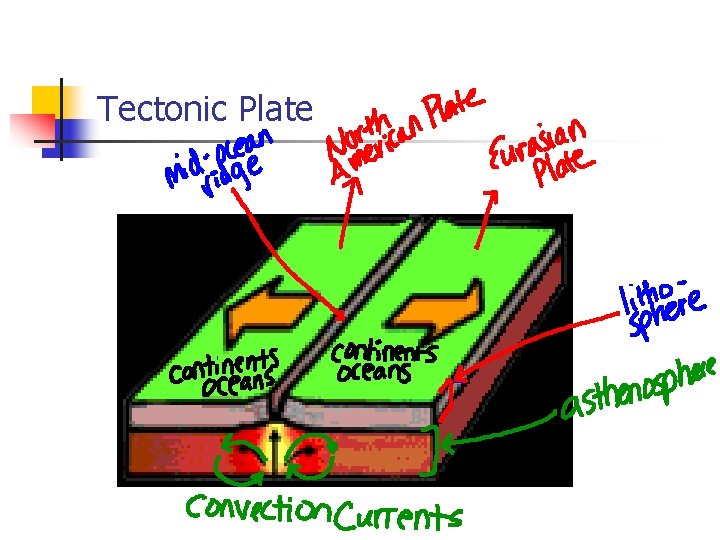 Tectonic Plate 