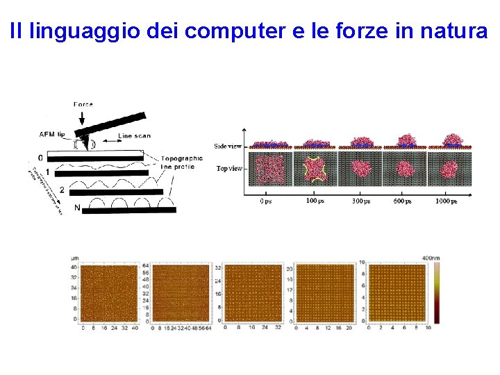 Il linguaggio dei computer e le forze in natura 