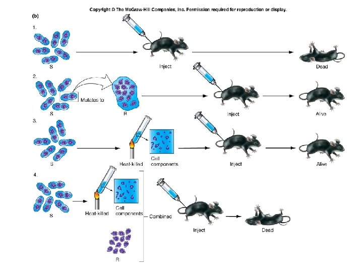 Fig. 6. 3 b 