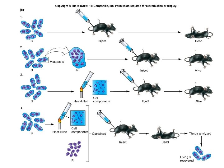 Fig. 6. 3 b Fig. 6. 3 b