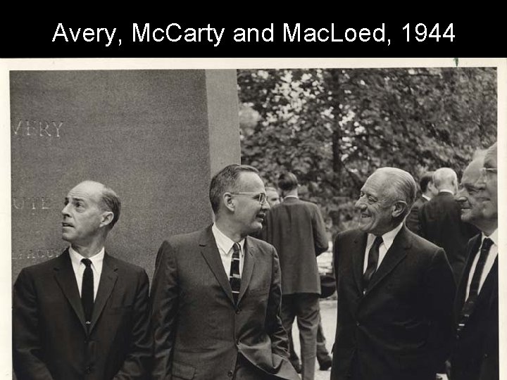 Avery, Mc. Carty and Mac. Loed, 1944 Avery, Mc. Carty and Mac. Loed, 1944