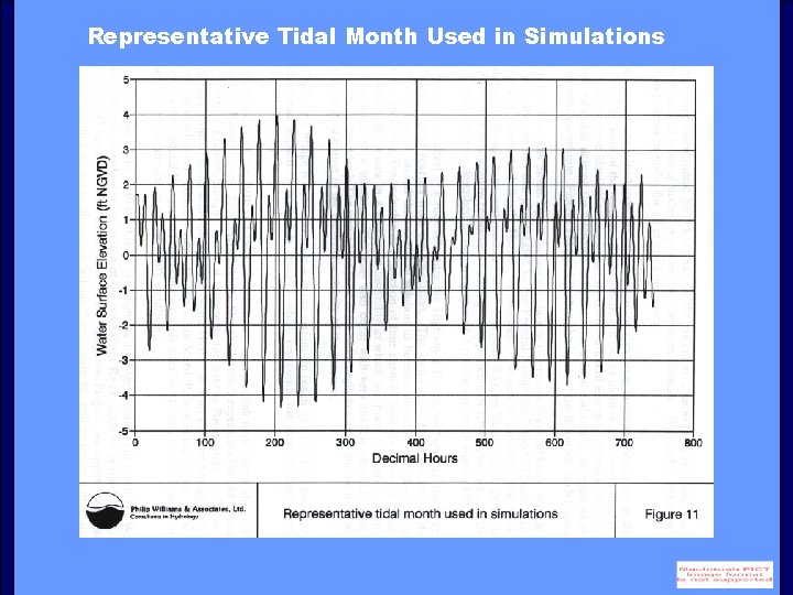 Representative Tidal Month Used in Simulations 