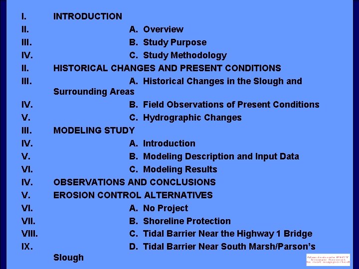 I. III. IV. V. VI. VIII. IX. INTRODUCTION A. Overview B. Study Purpose C.