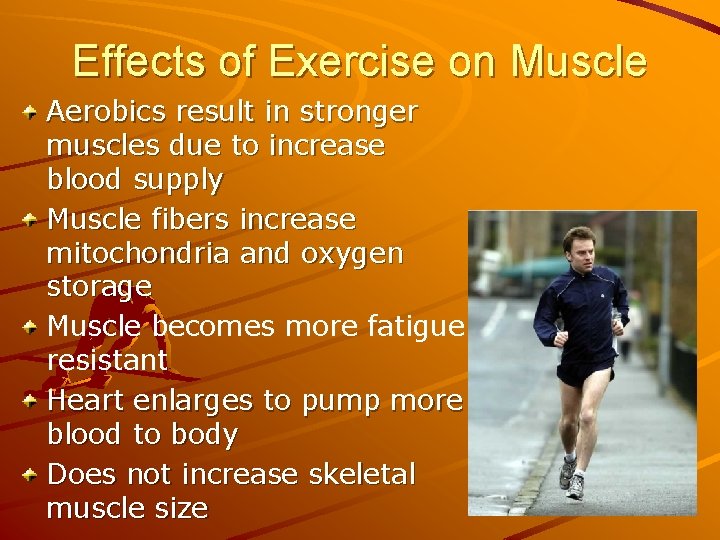 Effects of Exercise on Muscle Aerobics result in stronger muscles due to increase blood
