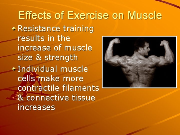 Effects of Exercise on Muscle Resistance training results in the increase of muscle size