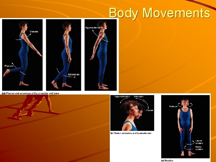Body Movements 