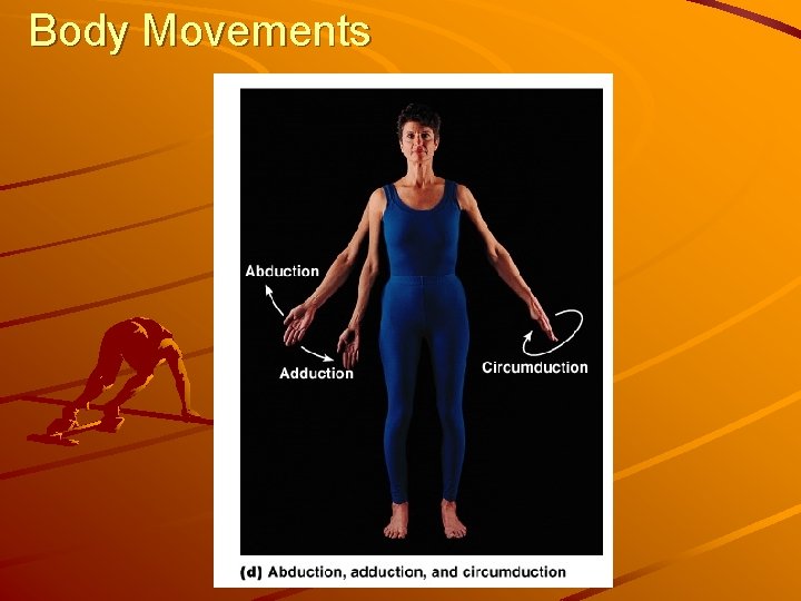Body Movements 