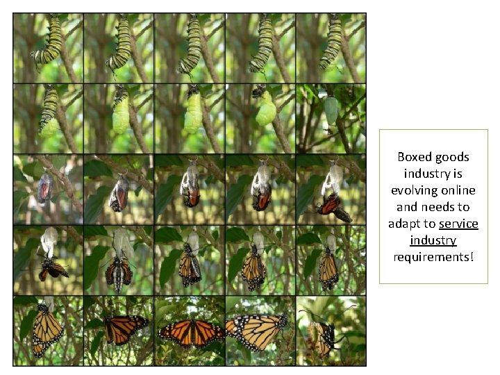 Boxed goods industry is evolving online and needs to adapt to service industry requirements! Boxed goods industry is evolving online and needs to adapt to service industry requirements!