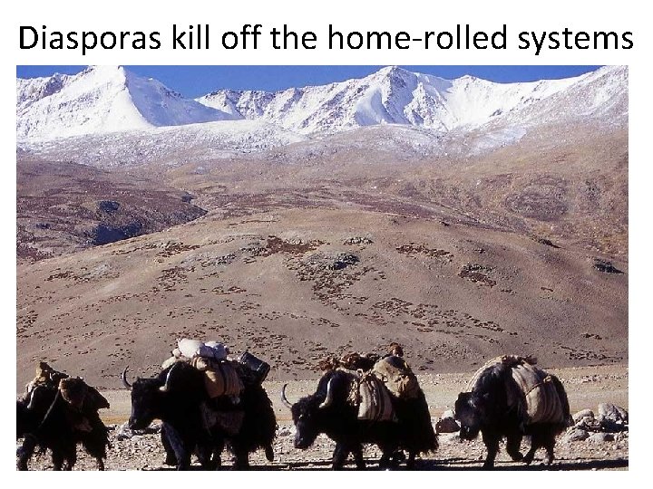 Diasporas kill off the home-rolled systems Diasporas kill off the home-rolled systems