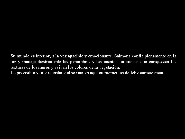 Su mundo es interior, a la vez apacible y emocionante. Salmona confía plenamente en Su mundo es interior, a la vez apacible y emocionante. Salmona confía plenamente en