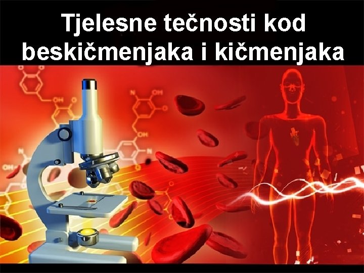 Tjelesne tečnosti kod beskičmenjaka i kičmenjaka 