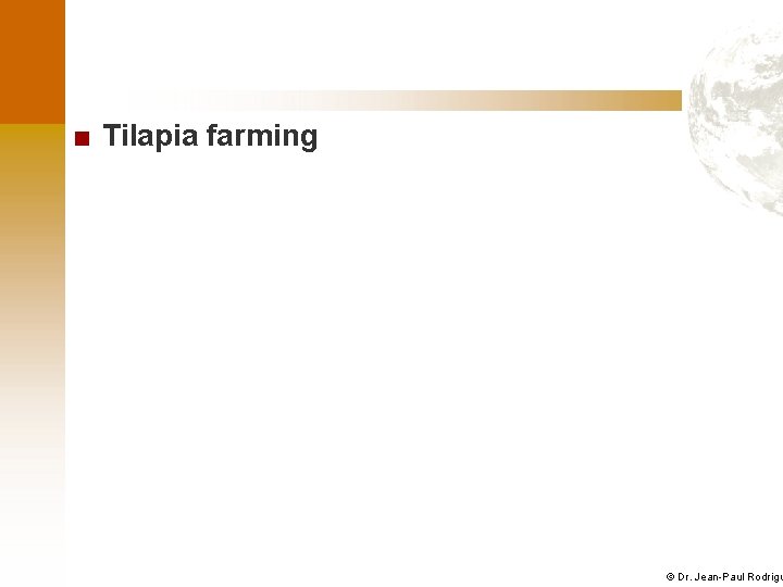 ■ Tilapia farming © Dr. Jean-Paul Rodrigu 