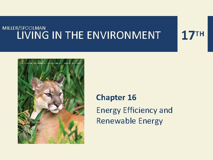 MILLER/SPOOLMAN LIVING IN THE ENVIRONMENT Chapter 16 Energy Efficiency and Renewable Energy 17 TH MILLER/SPOOLMAN LIVING IN THE ENVIRONMENT Chapter 16 Energy Efficiency and Renewable Energy 17 TH