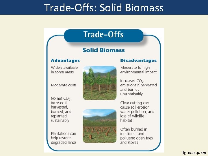 Trade-Offs: Solid Biomass Fig. 16 -26, p. 420 Trade-Offs: Solid Biomass Fig. 16 -26, p. 420