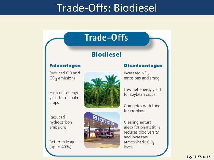 Trade-Offs: Biodiesel Fig. 16 -27, p. 421 Trade-Offs: Biodiesel Fig. 16 -27, p. 421