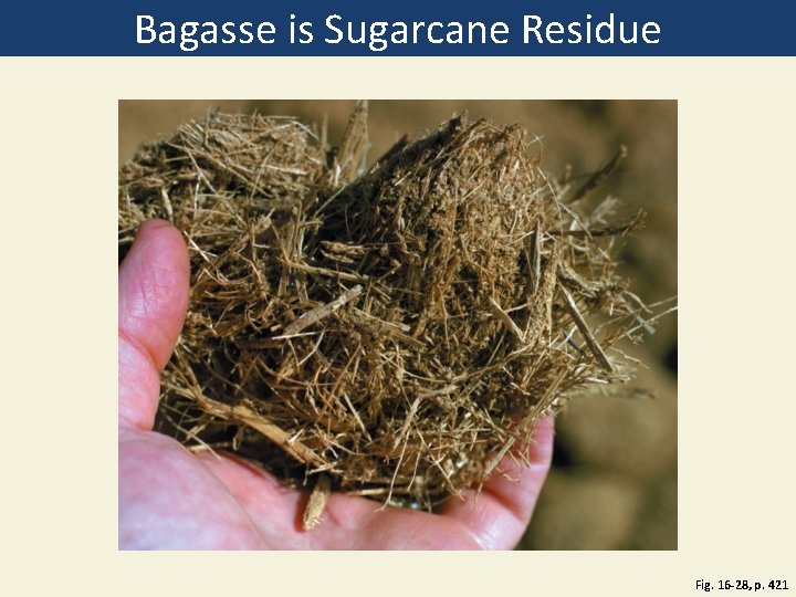 Bagasse is Sugarcane Residue Fig. 16 -28, p. 421 Bagasse is Sugarcane Residue Fig. 16 -28, p. 421