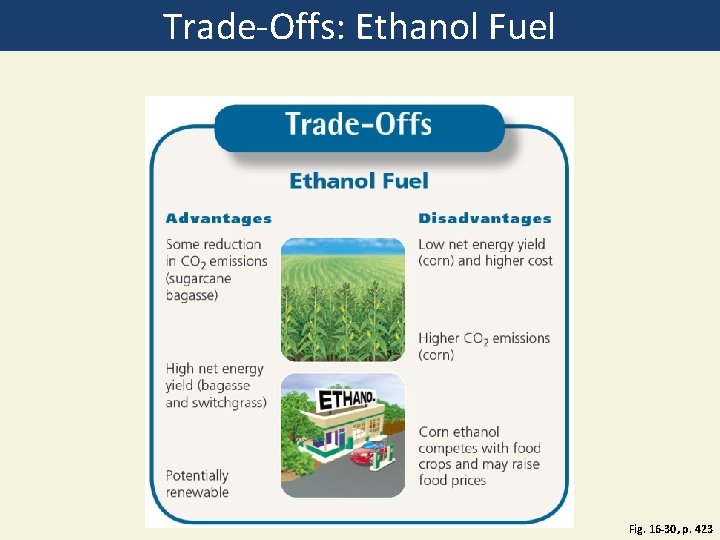 Trade-Offs: Ethanol Fuel Fig. 16 -30, p. 423 Trade-Offs: Ethanol Fuel Fig. 16 -30, p. 423