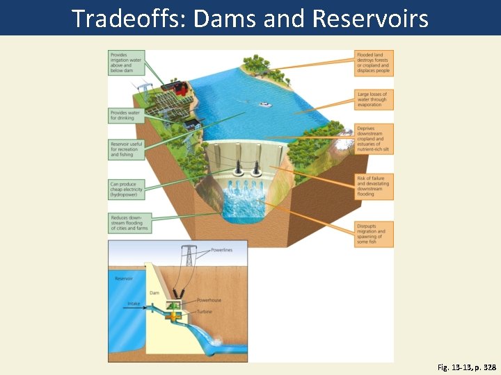 Tradeoffs: Dams and Reservoirs Fig. 13 -13, p. 328 Tradeoffs: Dams and Reservoirs Fig. 13 -13, p. 328
