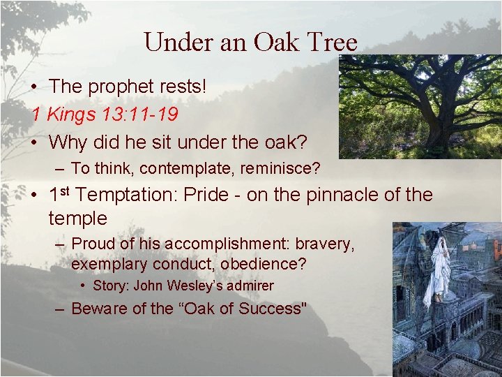 Under an Oak Tree • The prophet rests! 1 Kings 13: 11 -19 •
