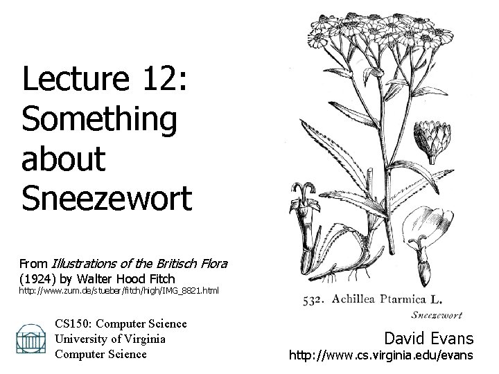 Lecture 12: Something about Sneezewort From Illustrations of the Britisch Flora (1924) by Walter