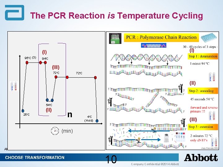 The PCR Reaction is Temperature Cycling (I) 95◦C (3) 94◦C (III) 72◦C (II) 54◦C The PCR Reaction is Temperature Cycling (I) 95◦C (3) 94◦C (III) 72◦C (II) 54◦C