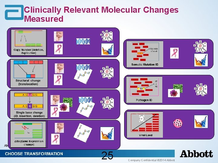 Clinically Relevant Molecular Changes Measured AMD-00002875 25 Company Confidential © 2014 Abbott Clinically Relevant Molecular Changes Measured AMD-00002875 25 Company Confidential © 2014 Abbott