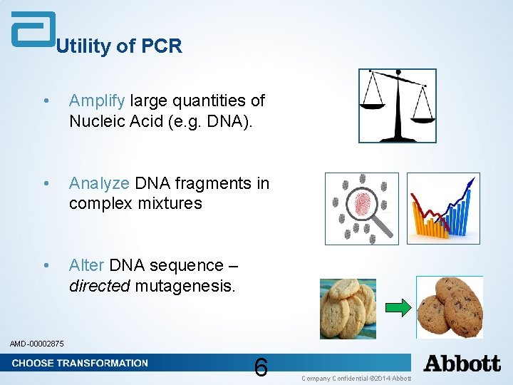 Utility of PCR • Amplify large quantities of Nucleic Acid (e. g. DNA). • Utility of PCR • Amplify large quantities of Nucleic Acid (e. g. DNA). •