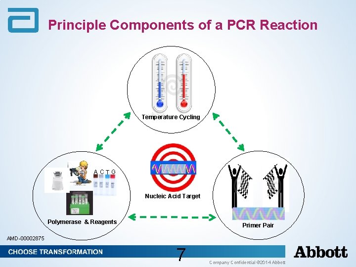 Principle Components of a PCR Reaction Temperature Cycling ACTG Nucleic Acid Target Polymerase & Principle Components of a PCR Reaction Temperature Cycling ACTG Nucleic Acid Target Polymerase &