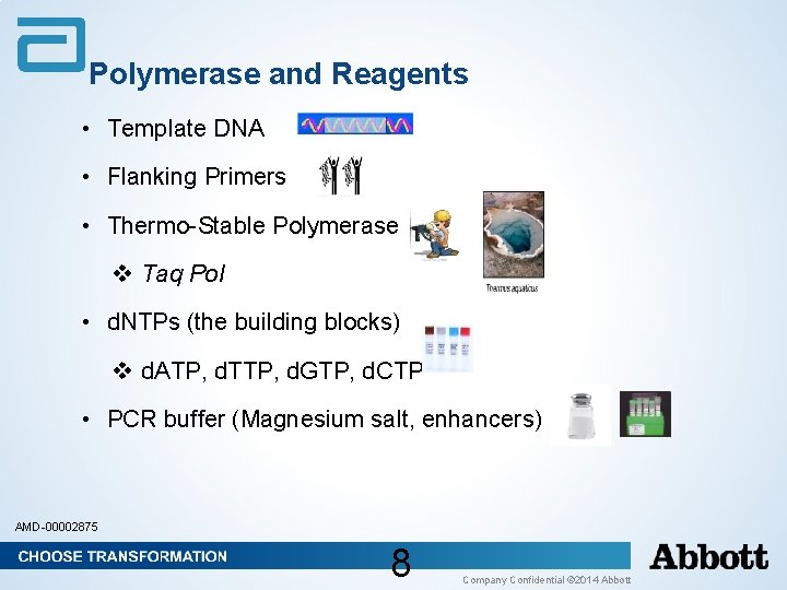 Polymerase and Reagents • Template DNA • Flanking Primers • Thermo-Stable Polymerase v Taq Polymerase and Reagents • Template DNA • Flanking Primers • Thermo-Stable Polymerase v Taq