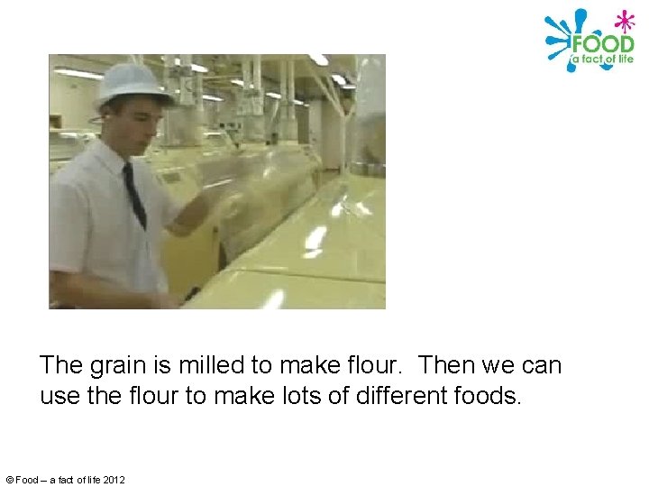 The grain is milled to make flour. Then we can use the flour to